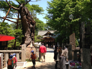 fudatenzin_tedukuriichi